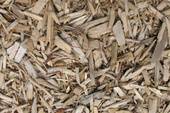 biomass boilers Sawood